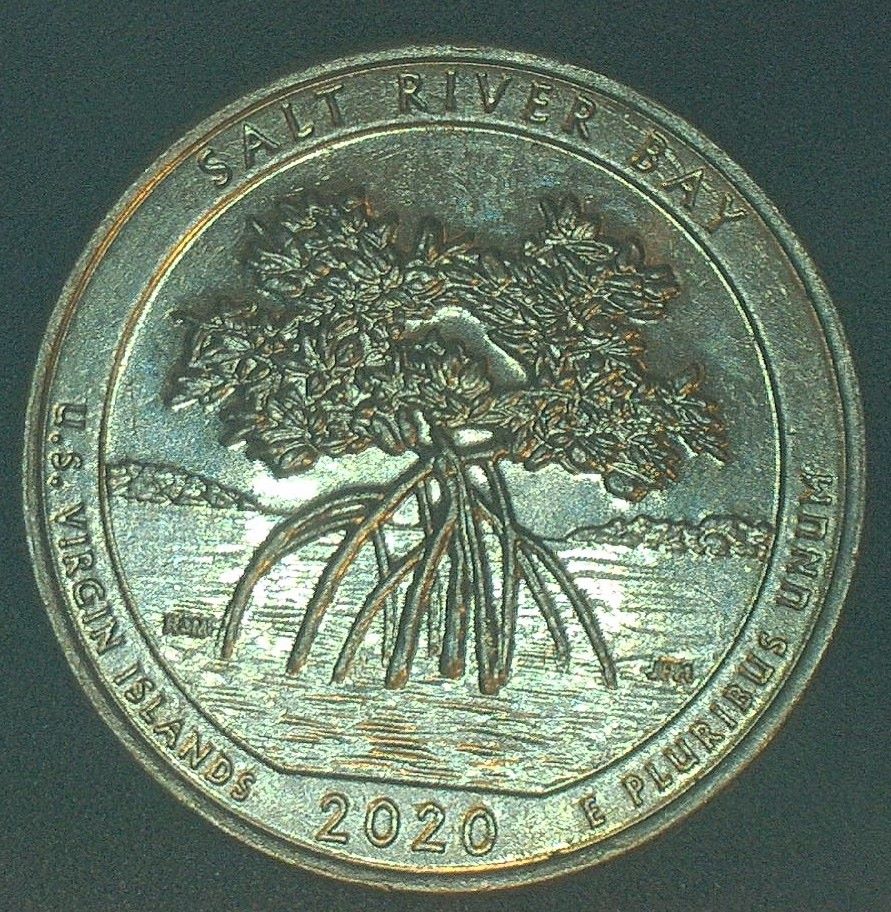 2020-D-Washington-Salt-River-Bay,-Double-Date